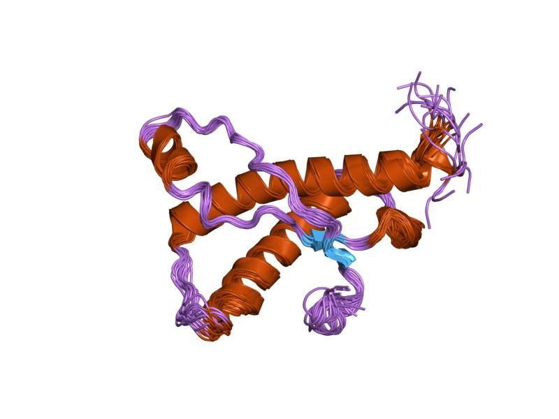 File:PDB 1xyu EBI.jpg