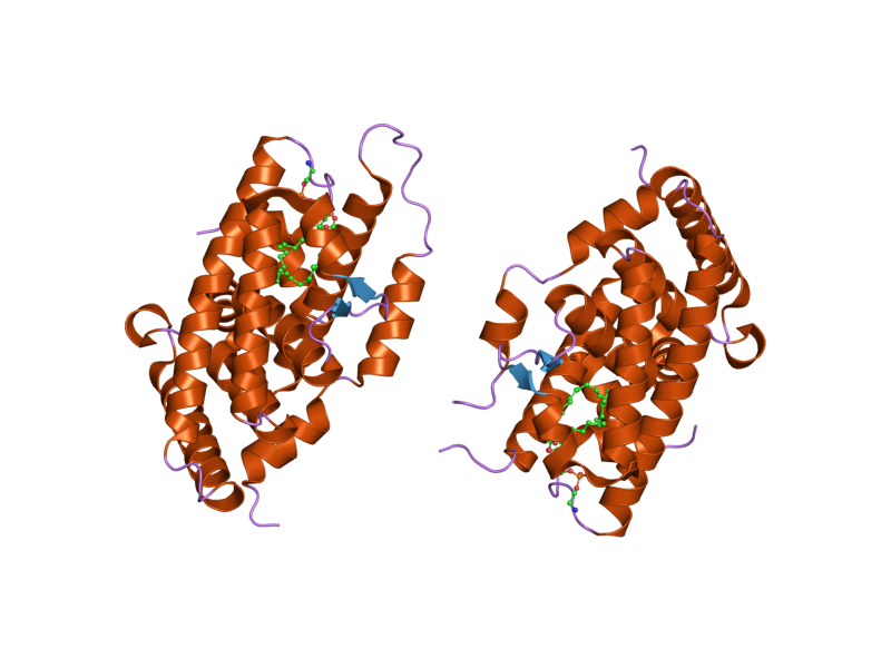 File:PDB 1zdt EBI.png