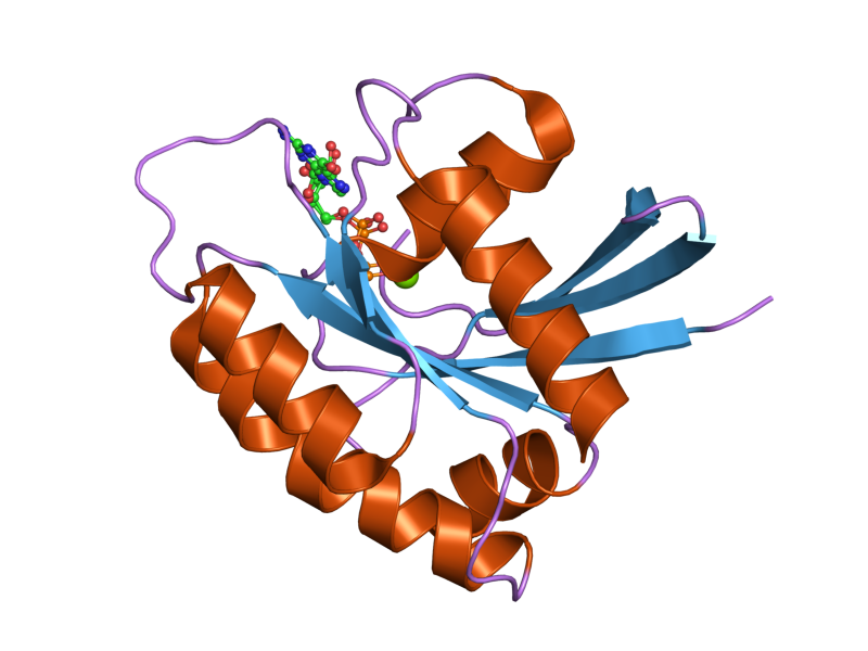 File:PDB 2cld EBI.png