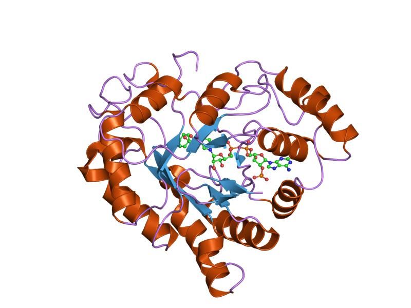 File:PDB 2ine EBI.jpg