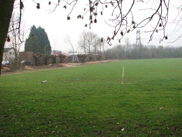 File:Pollarded willows - geograph.org.uk - 1103301.jpg