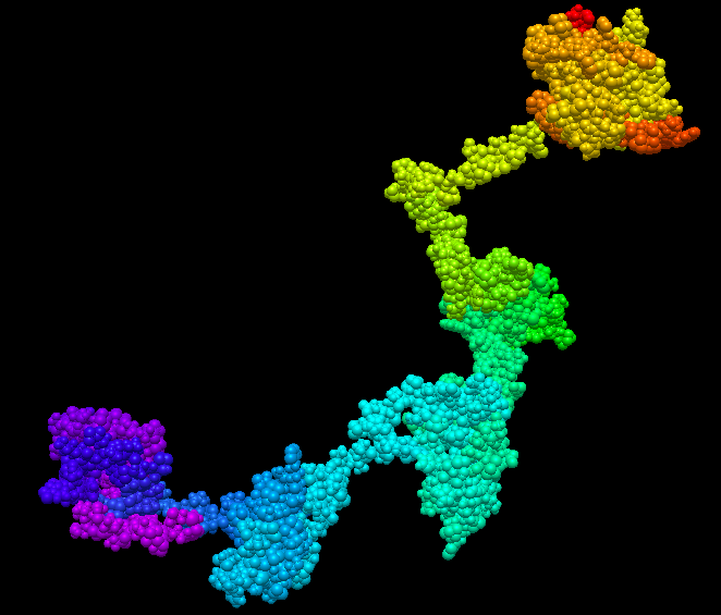 File:Predicted Tertiary Structure I-Tasser .png