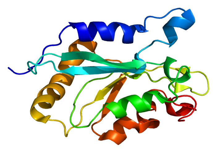 File:Protein CFL1 PDB 1q8g.png