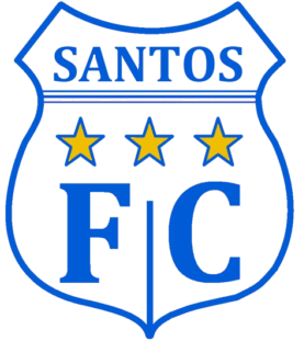 File:Santos FC logo.png