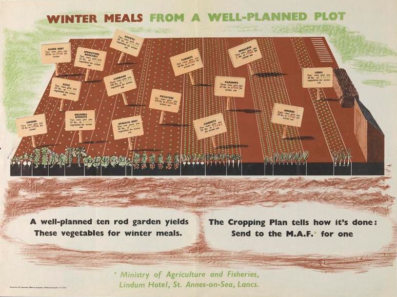 File:Winter Meals from a Well-planned Plot Art.IWMPST17019.jpg