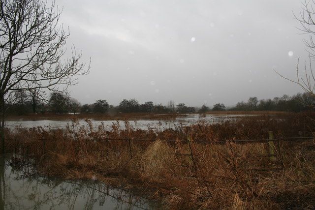 File:Cholsey Marsh - geograph.org.uk - 670925.jpg