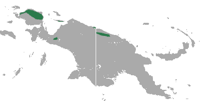 File:D'Albertis' Ringtail Possum area.png