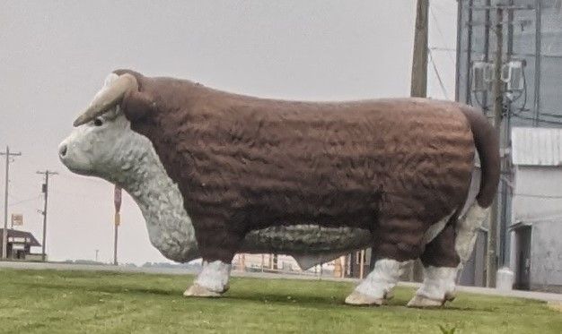 File:Fiberglass bull landmark at Gilboa, Ohio.jpg