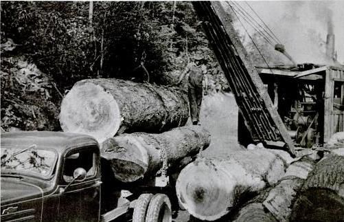 File:Logging-monroe-county-tn1.jpg