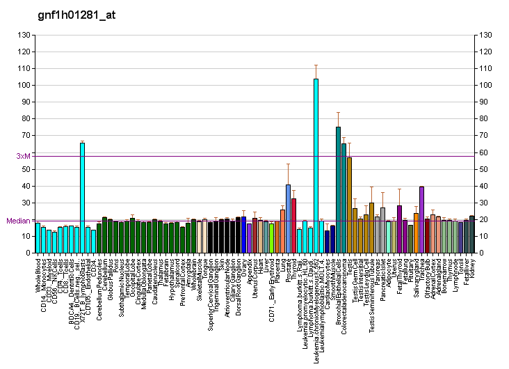 File:PBB GE BAIAP2L1 gnf1h01281 at fs.png