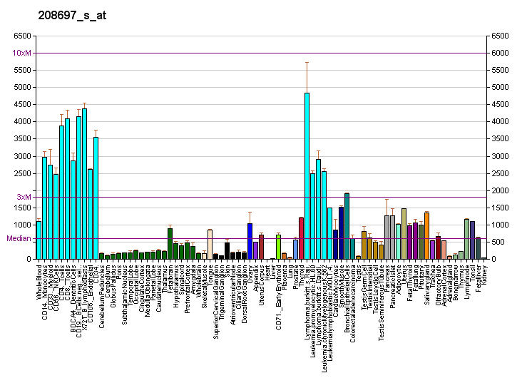 File:PBB GE EIF3S6 208697 s at fs.png