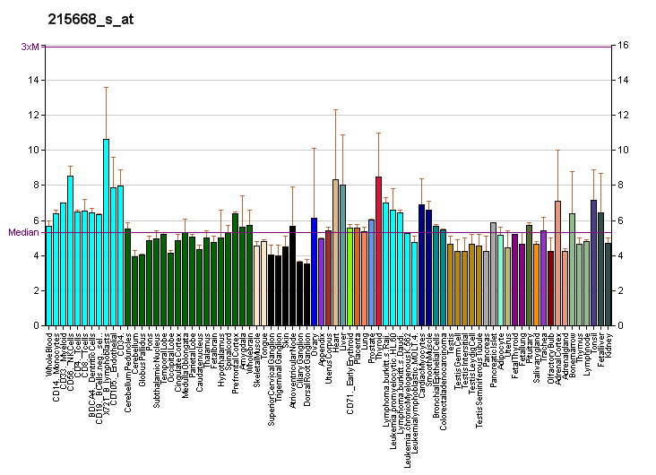 File:PBB GE PLXNB1 215668 s at fs.png