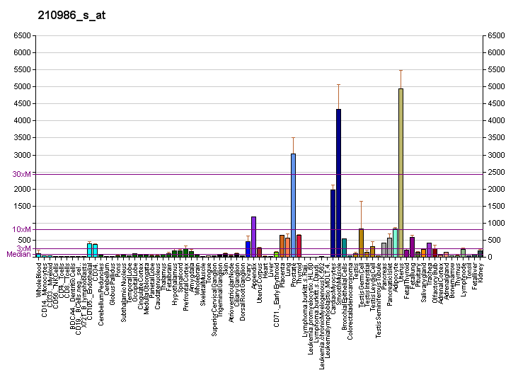 File:PBB GE TPM1 210986 s at fs.png