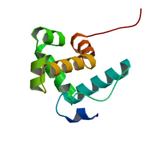 File:PBB Protein ARID1B image.jpg