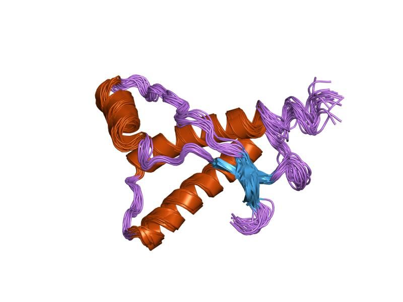 File:PDB 1e1u EBI.jpg