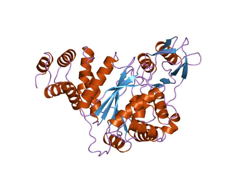 File:PDB 1otp EBI.jpg