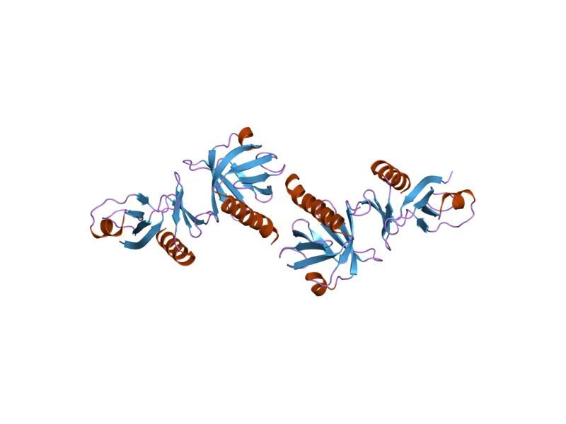 File:PDB 1qqg EBI.jpg