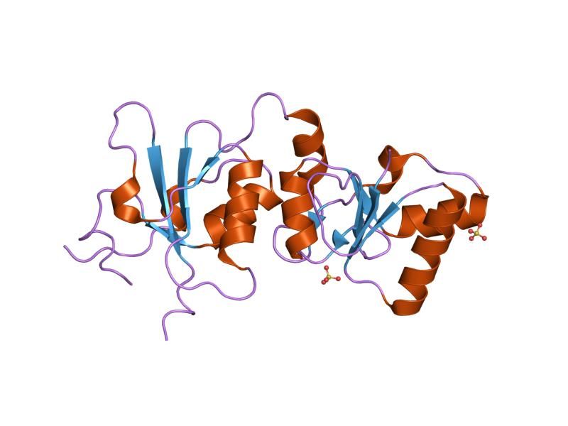 File:PDB 1t2u EBI.jpg