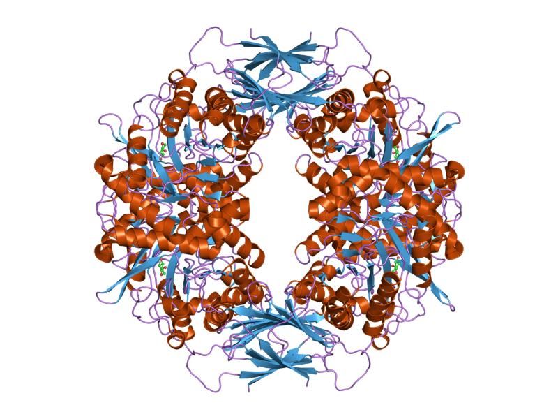 File:PDB 1uhv EBI.jpg