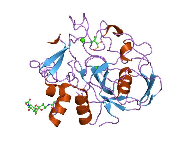 File:PDB 1y1f EBI.jpg