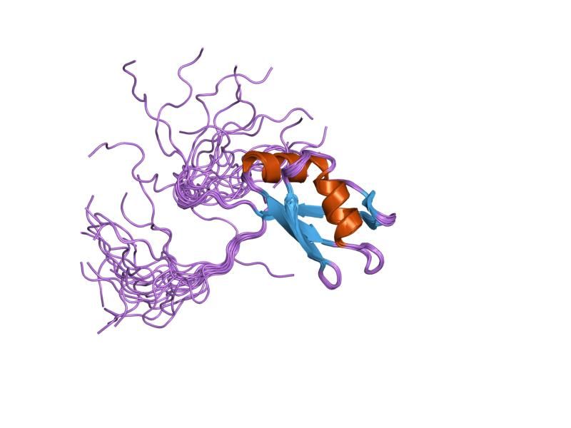 File:PDB 2cpd EBI.jpg