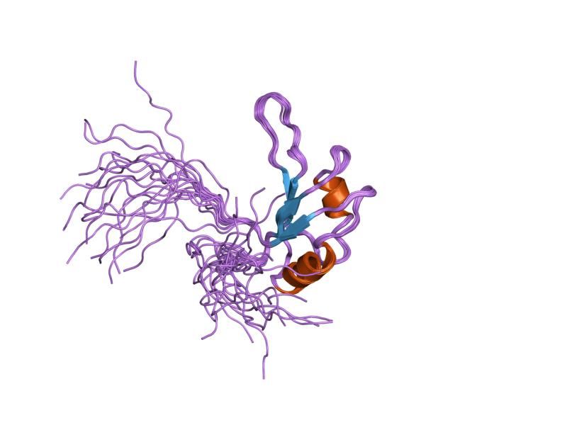 File:PDB 2cqb EBI.jpg