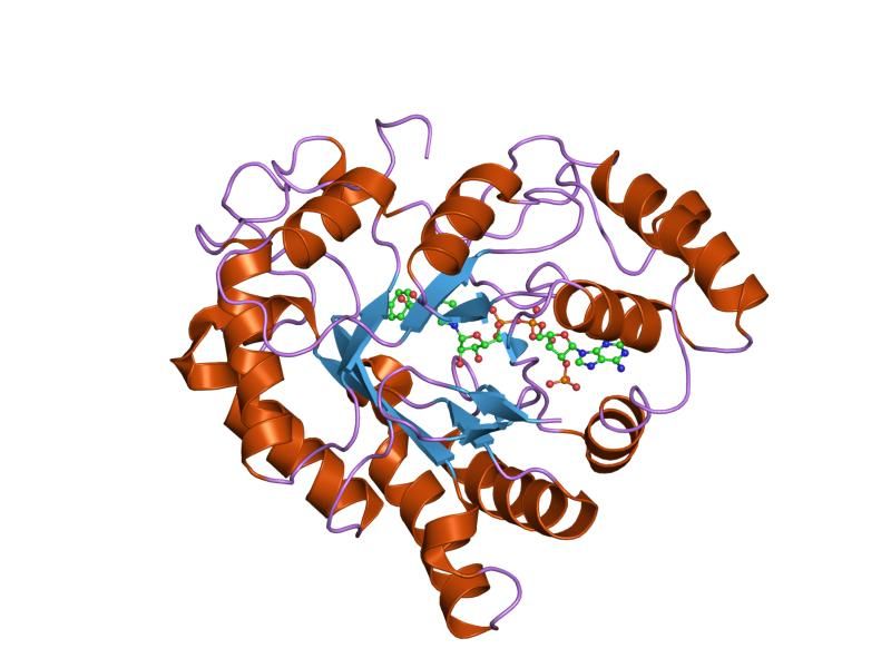 File:PDB 2isf EBI.jpg