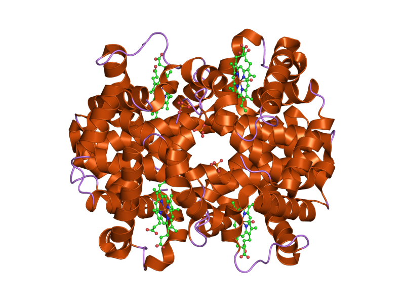 File:PDB 3d17 EBI.png