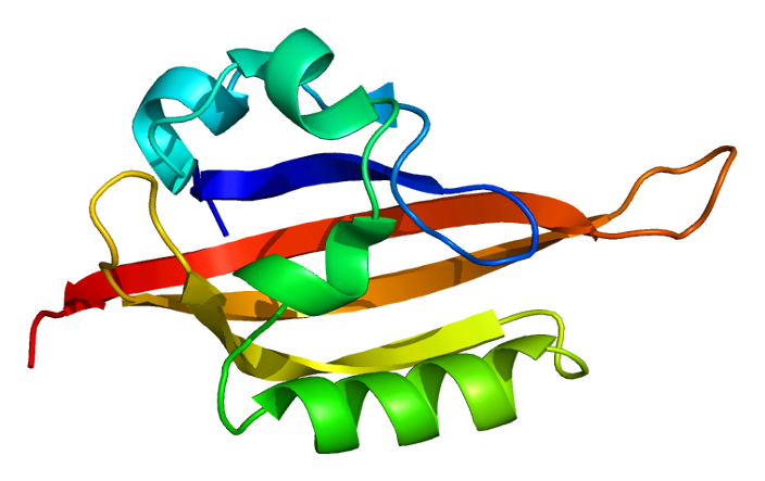 File:Protein EPAS1 PDB 1p97.png