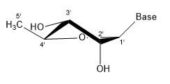 File:3' endo.jpg