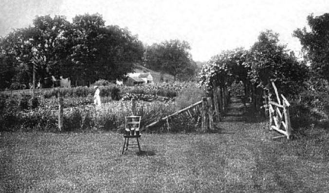 File:Ida Tarbell House garden.png