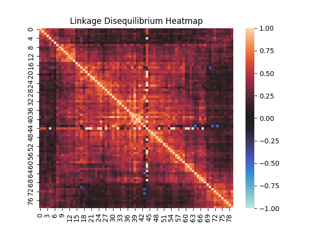 File:Linkage Disequilibrium Heatmap.png