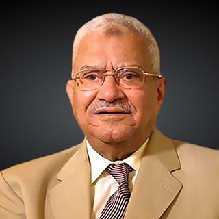 File:Mahmoud Elaraby.jpg