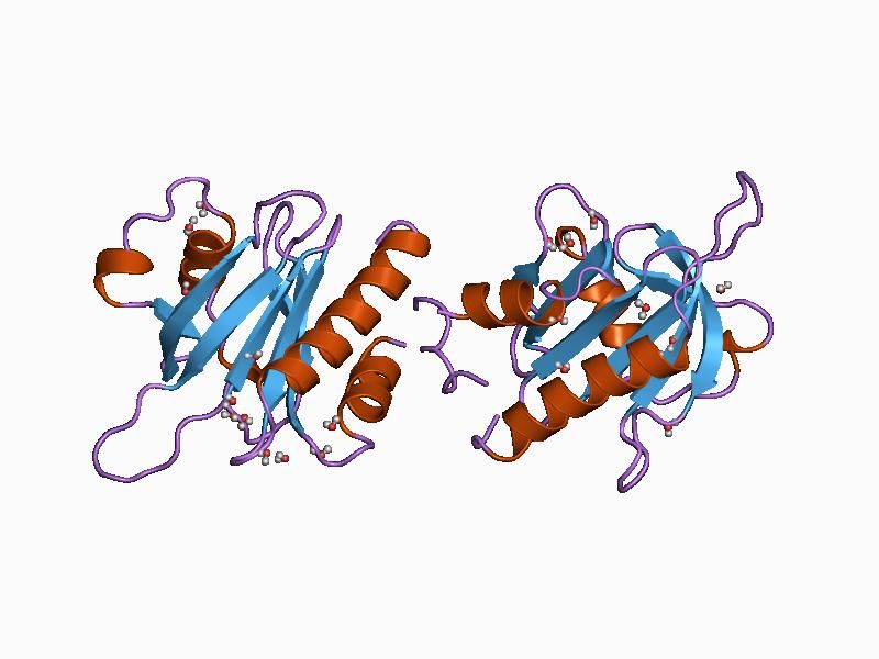 File:PDB 1awi EBI.jpg