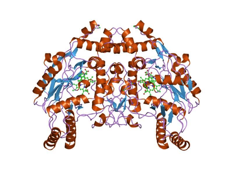 File:PDB 1foj EBI.jpg