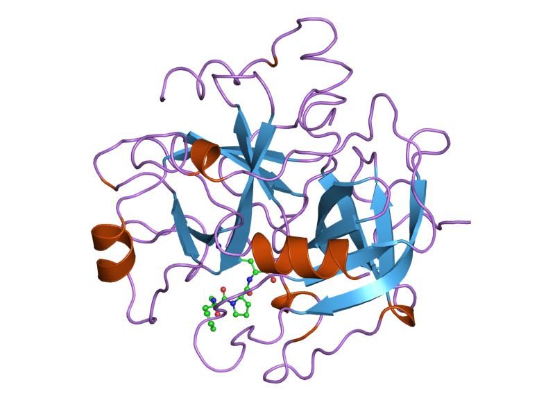 File:PDB 1lhd EBI.jpg