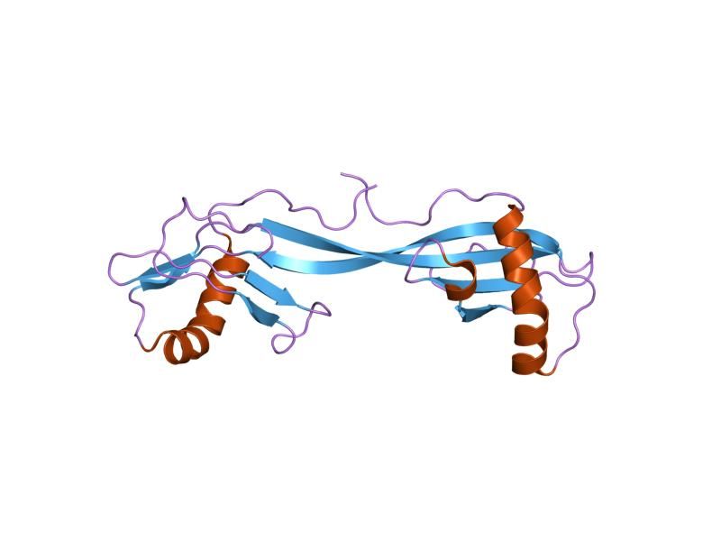 File:PDB 1n9j EBI.jpg