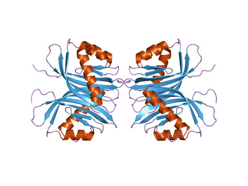 File:PDB 1qma EBI.jpg