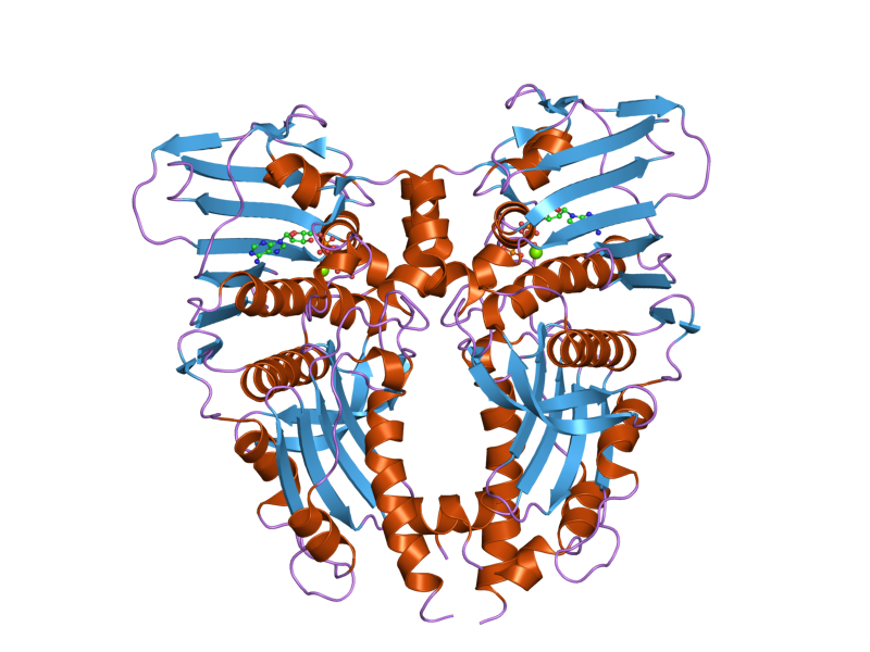 File:PDB 1zxm EBI.png