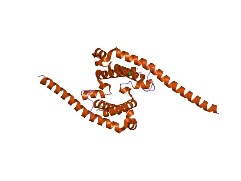 File:PDB 2a9u EBI.jpg