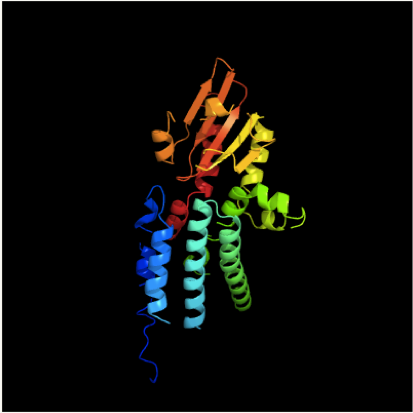 File:Predicted C12orf66 Protein Structure.png