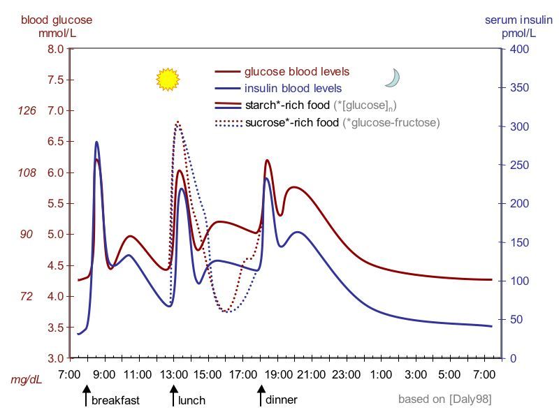 File:Suckale08 fig3 glucose insulin day.jpg