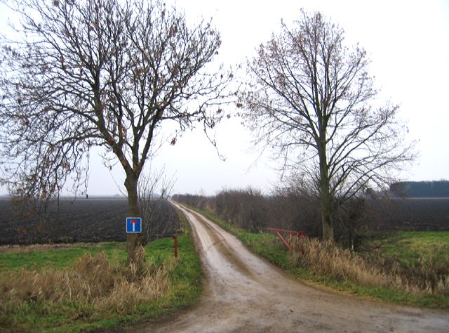 File:Tongue End track Lincolnshire.jpg