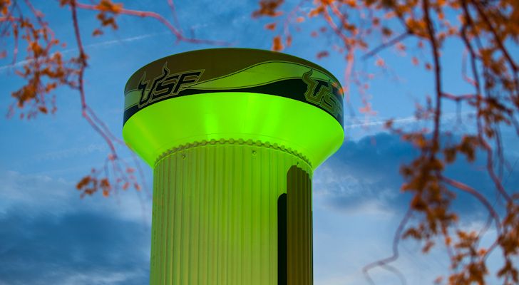 File:USF Water Tower (Green Lights).jpg