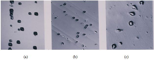 File:Wright.Etch.Fig3a.b.c.jpg