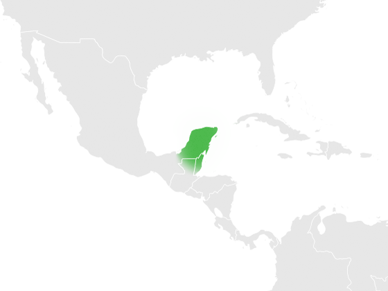 File:Yucatan Peninsula.png