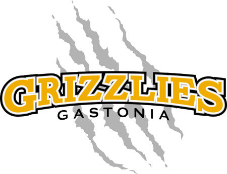 File:Grizzlies Logo FULLsmaller.jpg