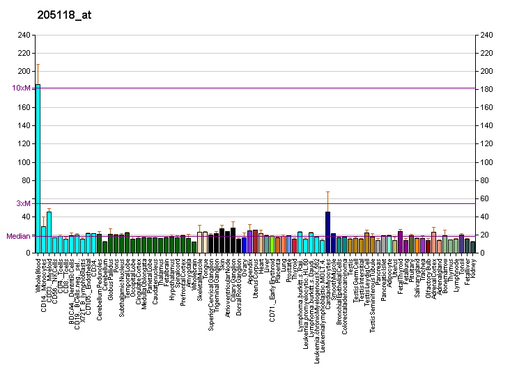 File:PBB GE FPR1 205118 at fs.png