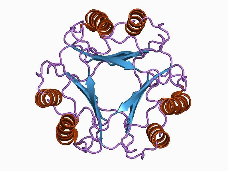 File:PDB 1cgq EBI.jpg