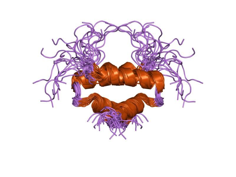 File:PDB 1l6e EBI.jpg